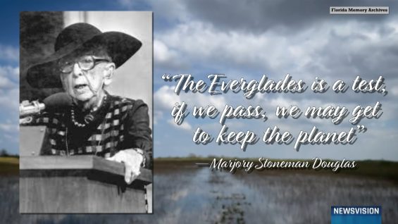 Everglades Comprehensive Restoration Plan – Vimeo thumbnail