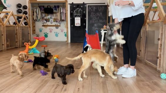 Pulse at 2 p.m. | November 10, 2025 | UMTV Live – Vimeo thumbnail