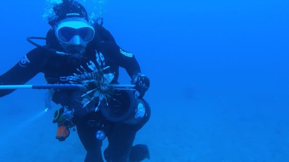 PrimeTime | Episode 10 – Vimeo thumbnail