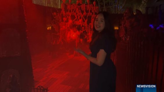 NewsVision at 7 p.m. | February 12, 2026 | UMTV Live – Vimeo thumbnail